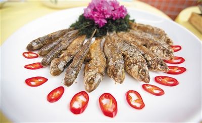 五指山石鯪魚。