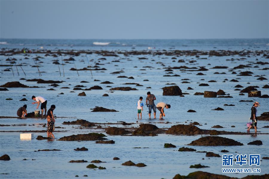 #（社會）（3）海南瓊海：趕海拾貝